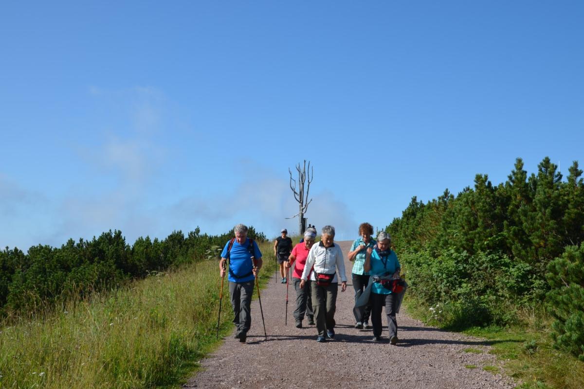 Latschenoelbrennerei 27.08.2019